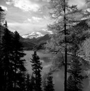 Stausee (Positivo) di Foto Elisabeth Fuchs-Hauffen, Überlingen/Bodensee,Fuchs-Hauffen, Elisabeth (1968/09/01 - 1968/09/93)