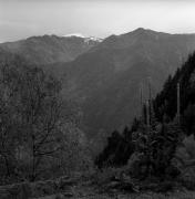 prato (Positivo) di Foto Elisabeth Fuchs-Hauffen, Überlingen/Bodensee,Fuchs-Hauffen, Elisabeth (1968/09/01 - 1968/09/93)