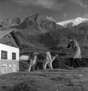 Rifugio Nino Corsi (Positivo) di Foto Elisabeth Fuchs-Hauffen, Überlingen/Bodensee,Fuchs-Hauffen, Elisabeth (1968/09/01 - 1968/09/93)