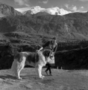 Rifugio Nino Corsi (Positivo) di Foto Elisabeth Fuchs-Hauffen, Überlingen/Bodensee,Fuchs-Hauffen, Elisabeth (1968/09/01 - 1968/09/93)