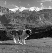 Rifugio Nino Corsi (Positivo) di Foto Elisabeth Fuchs-Hauffen, Überlingen/Bodensee,Fuchs-Hauffen, Elisabeth (1968/09/01 - 1968/09/93)