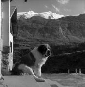 Rifugio Nino Corsi (Positivo) di Foto Elisabeth Fuchs-Hauffen, Überlingen/Bodensee,Fuchs-Hauffen, Elisabeth (1968/09/01 - 1968/09/93)