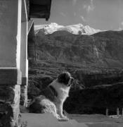 Rifugio Nino Corsi (Positivo) di Foto Elisabeth Fuchs-Hauffen, Überlingen/Bodensee,Fuchs-Hauffen, Elisabeth (1968/09/01 - 1968/09/93)