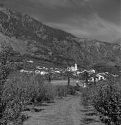 Feldweg (Positivo) di Foto Elisabeth Fuchs-Hauffen, Überlingen/Bodensee,Fuchs-Hauffen, Elisabeth (1968/09/01 - 1968/09/93)