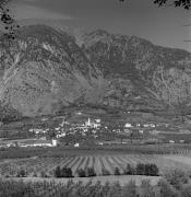 frutteto (Positivo) di Foto Elisabeth Fuchs-Hauffen, Überlingen/Bodensee,Fuchs-Hauffen, Elisabeth (1968/09/01 - 1968/09/93)