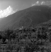 prato (Positivo) di Foto Elisabeth Fuchs-Hauffen, Überlingen/Bodensee,Fuchs-Hauffen, Elisabeth (1968/09/01 - 1968/09/93)