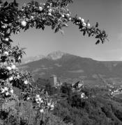 melo (Positivo) di Foto Elisabeth Fuchs-Hauffen, Überlingen/Bodensee,Fuchs-Hauffen, Elisabeth (1968/10/01 - 1968/10/31)