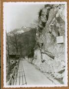 Profanbau (Positivo) di Ellmenreich, Albert (1933/03/01 - 1933/03/31)