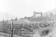 Burg und Schloß (Positivo) (1880/01/01 - 1914/12/31)