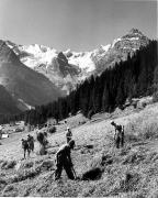 Heuarbeit (Positivo) di Foto Elisabeth Fuchs-Hauffen, Überlingen/Bodensee,Fuchs-Hauffen, Elisabeth (1968/07/01 - 1968/07/31)