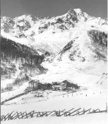 fattoria (Positivo) di Foto Elisabeth Fuchs-Hauffen, Überlingen/Bodensee,Fuchs-Hauffen, Elisabeth (1969/03/01 - 1969/03/33)