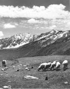recinto (Positivo) di Foto Elisabeth Fuchs-Hauffen, Überlingen/Bodensee,Fuchs-Hauffen, Elisabeth (1967/07/01 - 1967/07/73)