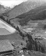 bosco (Positivo) di Foto Elisabeth Fuchs-Hauffen, Überlingen/Bodensee,Fuchs-Hauffen, Elisabeth (1967/07/01 - 1967/07/31)