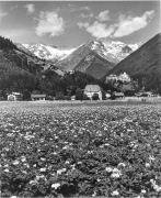 Schloß Taufers (Sand in Taufers) (Positivo) di Foto Elisabeth Fuchs-Hauffen, Überlingen/Bodensee,Fuchs-Hauffen, Elisabeth (1970/06/01 - 1970/06/63)