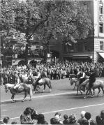 Umzug: Trachten Meran (Positivo) di Foto Elisabeth Fuchs-Hauffen, Überlingen/Bodensee,Fuchs-Hauffen, Elisabeth (1970/10/01 - 1970/10/31)