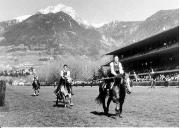 cavallo (Positivo) di Foto Elisabeth Fuchs-Hauffen, Überlingen/Bodensee,Fuchs-Hauffen, Elisabeth (1967/05/01 - 1967/05/31)