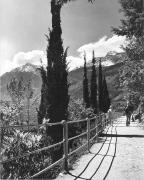 Panorama (Positivo) di Foto Elisabeth Fuchs-Hauffen, Überlingen/Bodensee,Fuchs-Hauffen, Elisabeth (1968/05/01 - 1968/05/31)