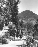 Panorama (Positivo) di Foto Elisabeth Fuchs-Hauffen, Überlingen/Bodensee,Fuchs-Hauffen, Elisabeth (1968/05/01 - 1968/05/31)