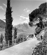 Panorama (Positivo) di Foto Elisabeth Fuchs-Hauffen, Überlingen/Bodensee,Fuchs-Hauffen, Elisabeth (1968/05/01 - 1968/05/31)