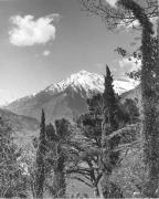 Panorama (Positivo) di Foto Elisabeth Fuchs-Hauffen, Überlingen/Bodensee,Fuchs-Hauffen, Elisabeth (1968/05/01 - 1968/05/31)