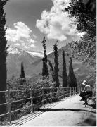 Panorama (Positivo) di Foto Elisabeth Fuchs-Hauffen, Überlingen/Bodensee,Fuchs-Hauffen, Elisabeth (1968/05/01 - 1968/05/31)