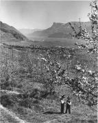 Panorama (Positivo) di Foto Elisabeth Fuchs-Hauffen, Überlingen/Bodensee,Fuchs-Hauffen, Elisabeth (1974/06/01 - 1974/06/63)