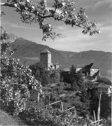 Schloss Tirol (Positivo) di Foto Elisabeth Fuchs-Hauffen, Überlingen/Bodensee,Fuchs-Hauffen, Elisabeth (1970/10/01 - 1970/10/31)