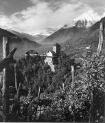 Schloss Tirol (Positivo) di Foto Elisabeth Fuchs-Hauffen, Überlingen/Bodensee,Fuchs-Hauffen, Elisabeth (1970/10/01 - 1970/10/31)