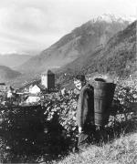 Bauer(in) / Landarbeiter(in) (Positivo) di Foto Elisabeth Fuchs-Hauffen, Überlingen/Bodensee,Fuchs-Hauffen, Elisabeth (1971/10/01 - 1971/10/31)