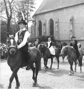 cavallo (Positivo) di Foto Elisabeth Fuchs-Hauffen, Überlingen/Bodensee,Fuchs-Hauffen, Elisabeth (1968/04/01 - 1968/04/43)