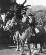 cavallo (Positivo) di Foto Elisabeth Fuchs-Hauffen, Überlingen/Bodensee,Fuchs-Hauffen, Elisabeth (1968/04/01 - 1968/04/43)