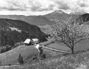 Bauernhof Hafling (Positivo) di Foto Elisabeth Fuchs-Hauffen, Überlingen/Bodensee,Fuchs-Hauffen, Elisabeth (1969/05/01 - 1969/05/31)
