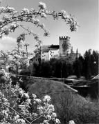 Schloß Lebenberg (Tscherms) (Positivo) di Foto Elisabeth Fuchs-Hauffen, Überlingen/Bodensee,Fuchs-Hauffen, Elisabeth (1970/05/01 - 1970/05/31)