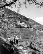 Schloß Lebenberg (Tscherms) (Positivo) di Foto Elisabeth Fuchs-Hauffen, Überlingen/Bodensee,Fuchs-Hauffen, Elisabeth (1970/05/01 - 1970/05/31)