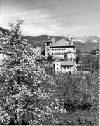 Obstbaum/Obst (Positivo) di Foto Elisabeth Fuchs-Hauffen, Überlingen/Bodensee,Fuchs-Hauffen, Elisabeth (1970/05/01 - 1970/05/31)