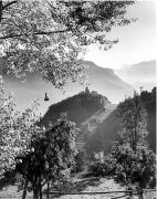 Seilbahn Bozen-Ritten (Positivo) di Foto Elisabeth Fuchs-Hauffen, Überlingen/Bodensee,Fuchs-Hauffen, Elisabeth (1970/06/01 - 1970/06/63)