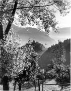 Seilbahn Bozen-Ritten (Positivo) di Foto Elisabeth Fuchs-Hauffen, Überlingen/Bodensee,Fuchs-Hauffen, Elisabeth (1970/06/01 - 1970/06/63)