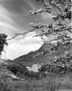 Schloß Runkelstein (Positivo) di Foto Elisabeth Fuchs-Hauffen, Überlingen/Bodensee,Fuchs-Hauffen, Elisabeth (1970/06/01 - 1970/06/63)