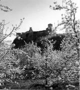 Obstbaum/Obst (Positivo) di Foto Elisabeth Fuchs-Hauffen, Überlingen/Bodensee,Fuchs-Hauffen, Elisabeth (1970/05/01 - 1970/05/31)