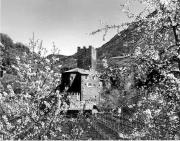 Schloß Ried (Ritten) (Positivo) di Foto Elisabeth Fuchs-Hauffen, Überlingen/Bodensee,Fuchs-Hauffen, Elisabeth (1970/05/01 - 1970/05/31)