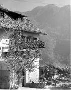 Weinernte in/bei Bozen (Positivo) di Foto Elisabeth Fuchs-Hauffen, Überlingen/Bodensee,Fuchs-Hauffen, Elisabeth (1970/10/01 - 1970/10/31)