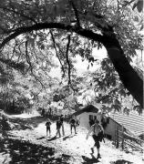 Wanderer/Ausflügler (Positivo) di Foto Elisabeth Fuchs-Hauffen, Überlingen/Bodensee,Fuchs-Hauffen, Elisabeth (1970/10/01 - 1970/10/31)