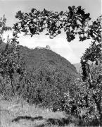 Schloß Boymont (Positivo) di Foto Elisabeth Fuchs-Hauffen, Überlingen/Bodensee,Fuchs-Hauffen, Elisabeth (1972/10/01 - 1972/10/31)