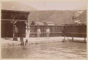 Schwimmen (Positivo) di Largajolli, Ernst (1891/01/01 - 1891/12/31)