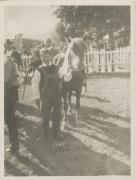 Tier (Positivo) di Joffé, Emil (1925/10/04 - 1925/10/04)