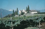 Burg und Schloß (Positivo) (1960/01/01 - 1960/12/31)