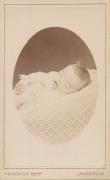 ritratto di donna (Positivo) di Bopp, Friedrich (1878/01/01 - 1879/12/31)