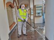 Einzelbildnis (Positivo) (2020/04/43 - 2020/04/43)