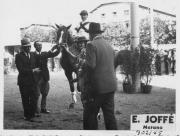 Pferderennen (Positivo) di Joffé, Emil (1935/01/01 - 1939/12/31)