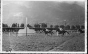 Pferderennen (Positivo) di Veronese (1948/08/15 - 1948/08/15)